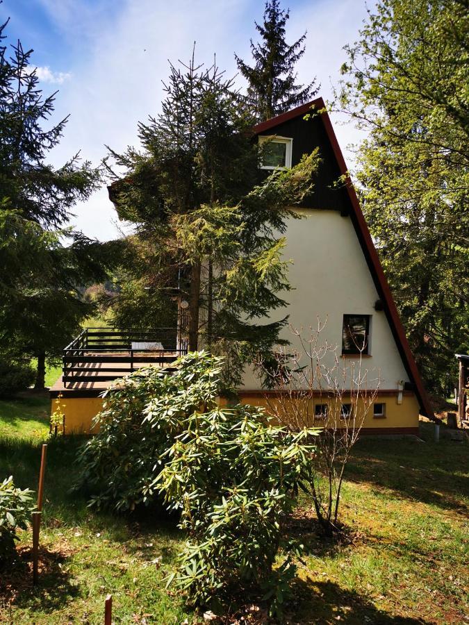 Wojtowka 16 Villa Ladek-Zdroj Exterior photo